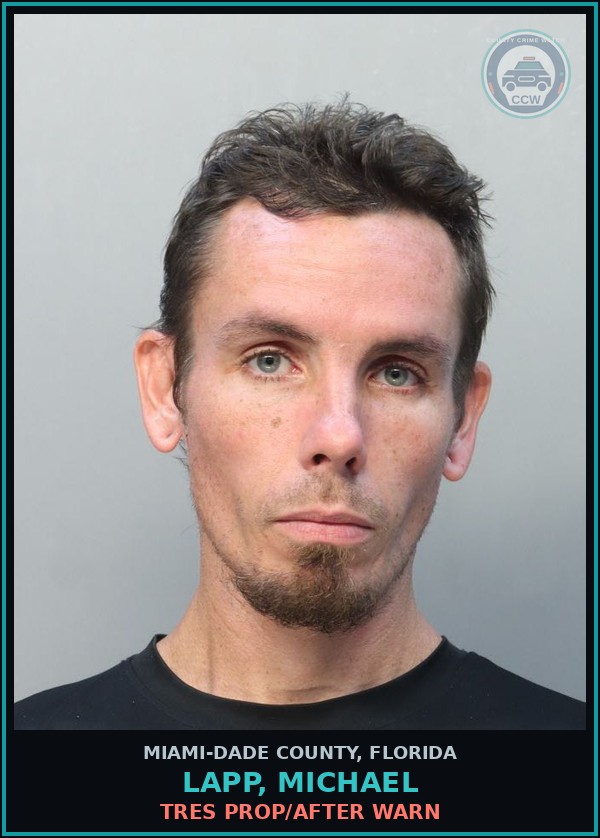Booking mugshot of LAPP, MICHAEL in Miami-Dade County