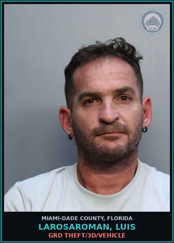 Booking mugshot of LAROSAROMAN, LUIS in Miami-Dade County