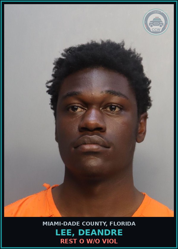 Booking mugshot of LEE, DEANDRE in Miami-Dade County