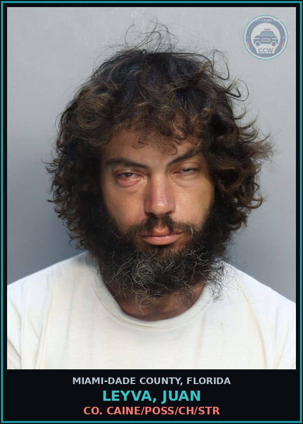 Booking mugshot of LEYVA, JUAN in Miami-Dade County