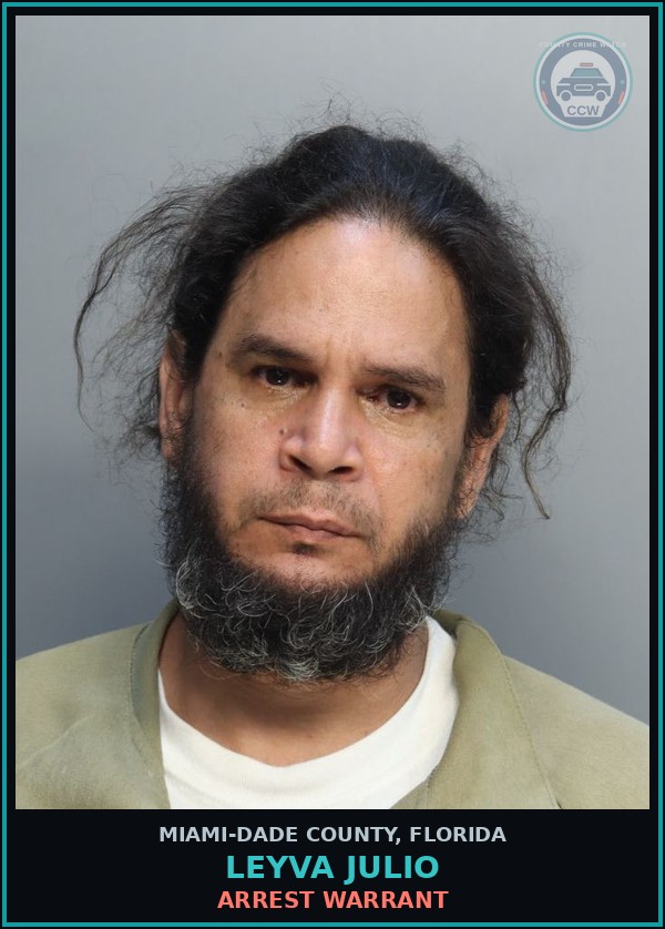 Booking mugshot of LEYVA JULIO in Miami-Dade County