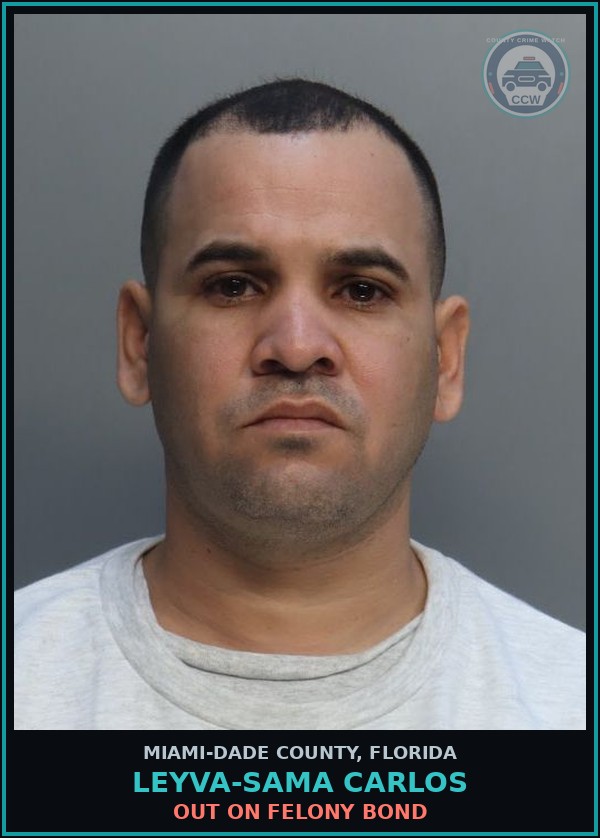 Booking mugshot of LEYVA-SAMA CARLOS in Miami-Dade County