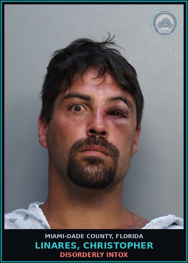 Booking mugshot of LINARES, CHRISTOPHER in Miami-Dade County
