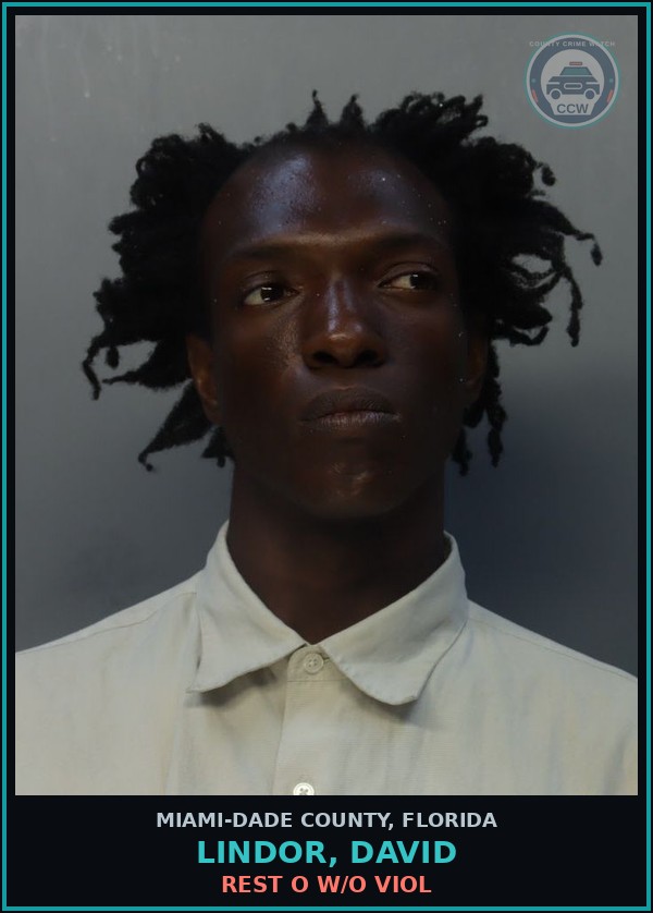 Booking mugshot of LINDOR, DAVID in Miami-Dade County