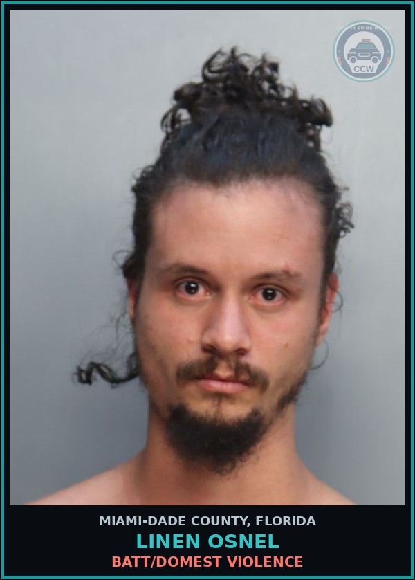 Booking mugshot of LINEN OSNEL in Miami-Dade County