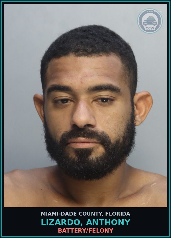 Booking mugshot of LIZARDO, ANTHONY in Miami-Dade County