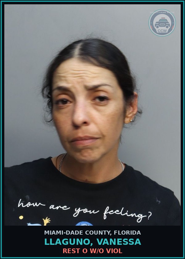Booking mugshot of LLAGUNO, VANESSA in Miami-Dade County