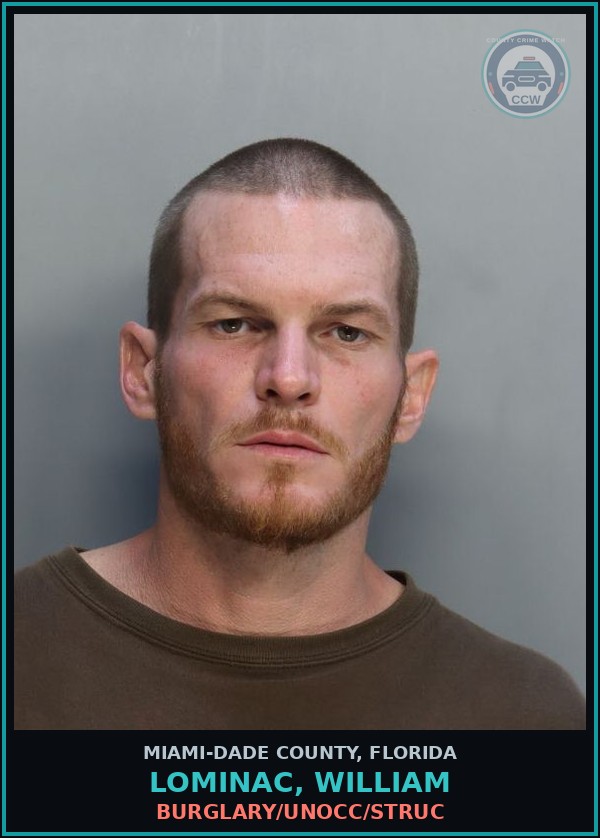 Booking mugshot of LOMINAC, WILLIAM in Miami-Dade County