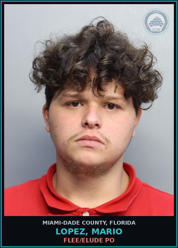 Booking mugshot of LOPEZ, MARIO in Miami-Dade County