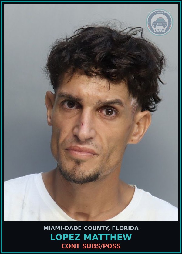 Booking mugshot of LOPEZ MATTHEW in Miami-Dade County