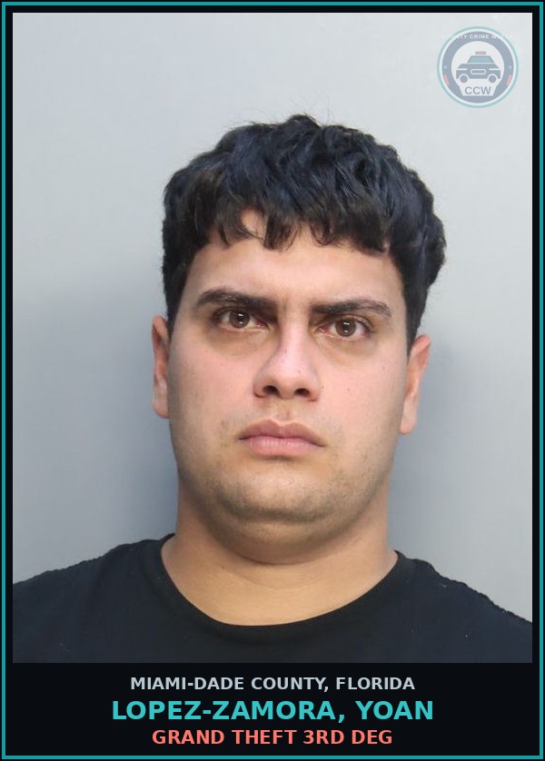 Booking mugshot of LOPEZ-ZAMORA, YOAN in Miami-Dade County