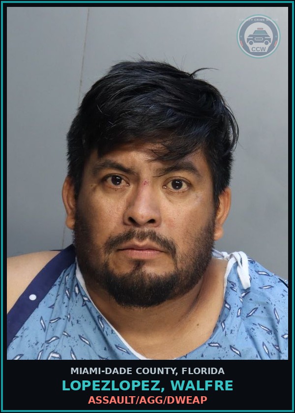 Booking mugshot of LOPEZLOPEZ, WALFRE in Miami-Dade County