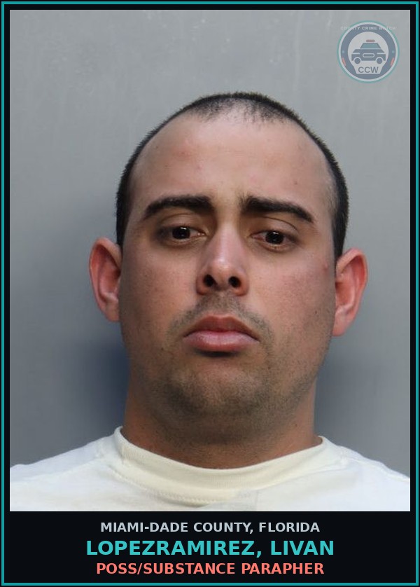 Booking mugshot of LOPEZRAMIREZ, LIVAN in Miami-Dade County