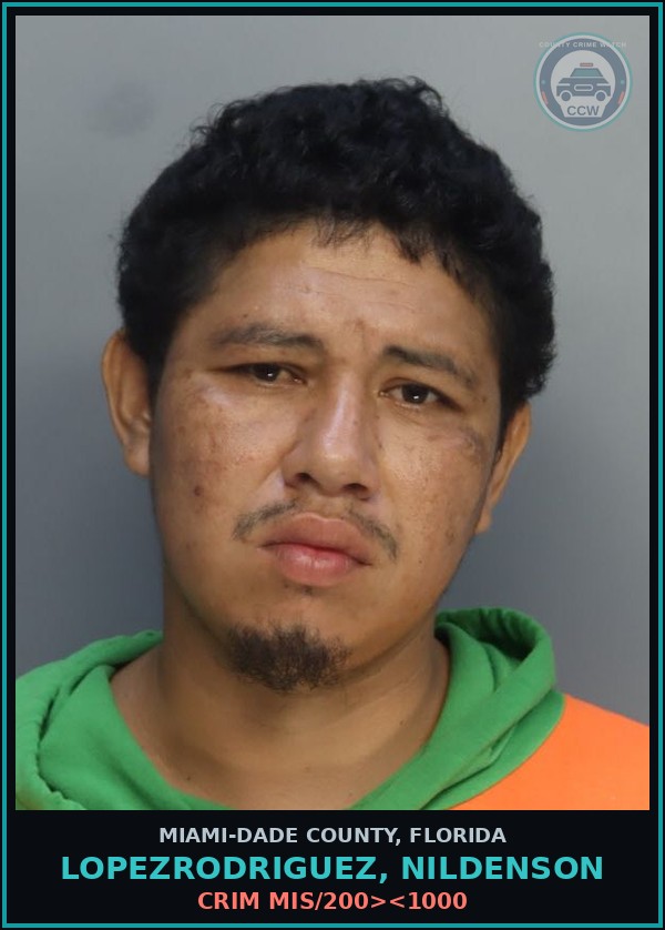 Booking mugshot of LOPEZRODRIGUEZ, NILDENSON in Miami-Dade County