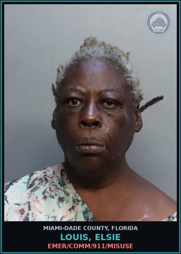 Booking mugshot of LOUIS, ELSIE in Miami-Dade County