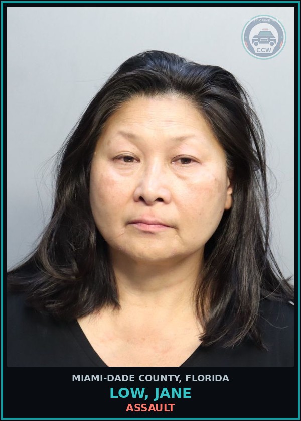 Booking mugshot of LOW, JANE in Miami-Dade County
