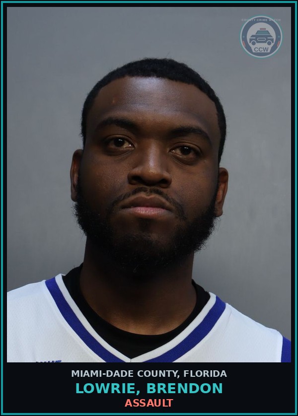 Booking mugshot of LOWRIE, BRENDON in Miami-Dade County