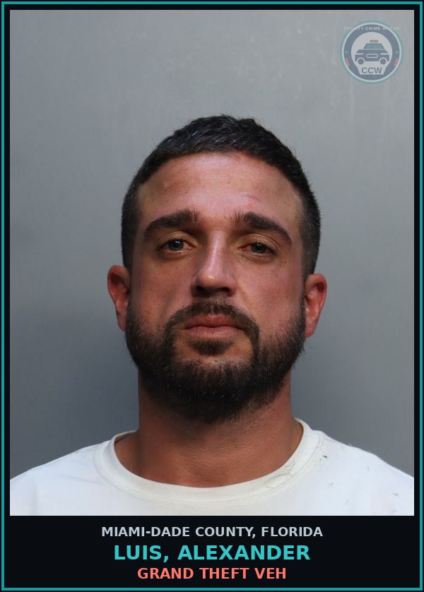 Booking mugshot of LUIS, ALEXANDER in Miami-Dade County