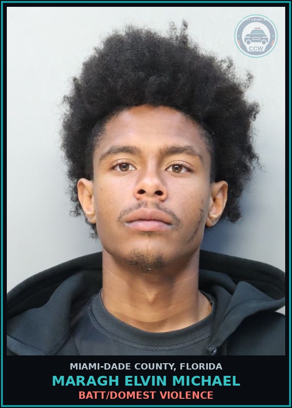 Booking mugshot of MARAGH ELVIN  MICHAEL in Miami-Dade County
