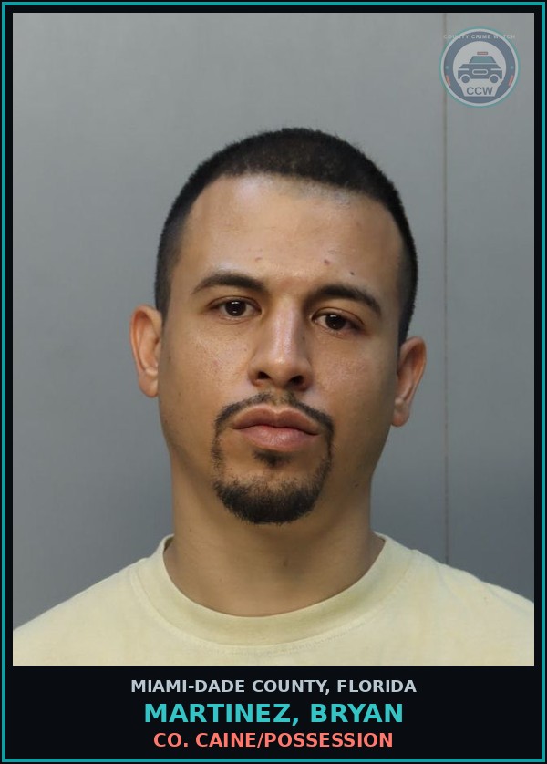 Booking mugshot of MARTINEZ, BRYAN in Miami-Dade County