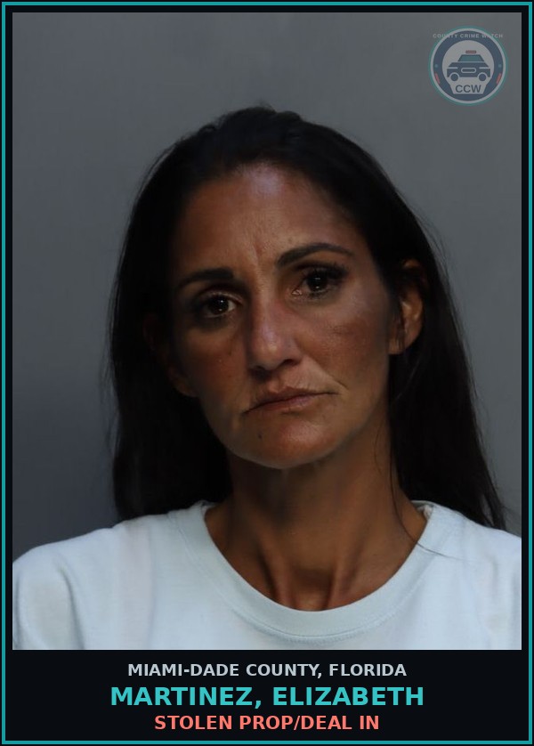 Booking mugshot of MARTINEZ, ELIZABETH in Miami-Dade County