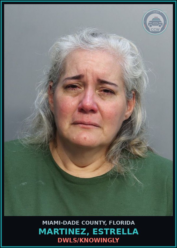 Booking mugshot of MARTINEZ, ESTRELLA in Miami-Dade County