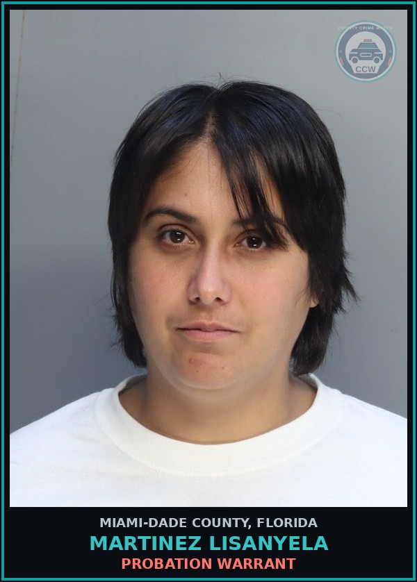 Booking mugshot of MARTINEZ LISANYELA in Miami-Dade County