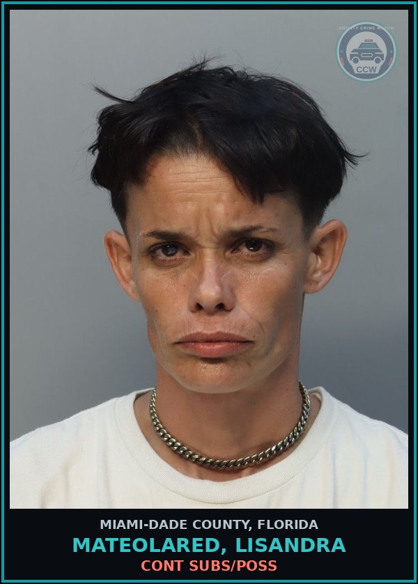Booking mugshot of MATEOLARED, LISANDRA in Miami-Dade County