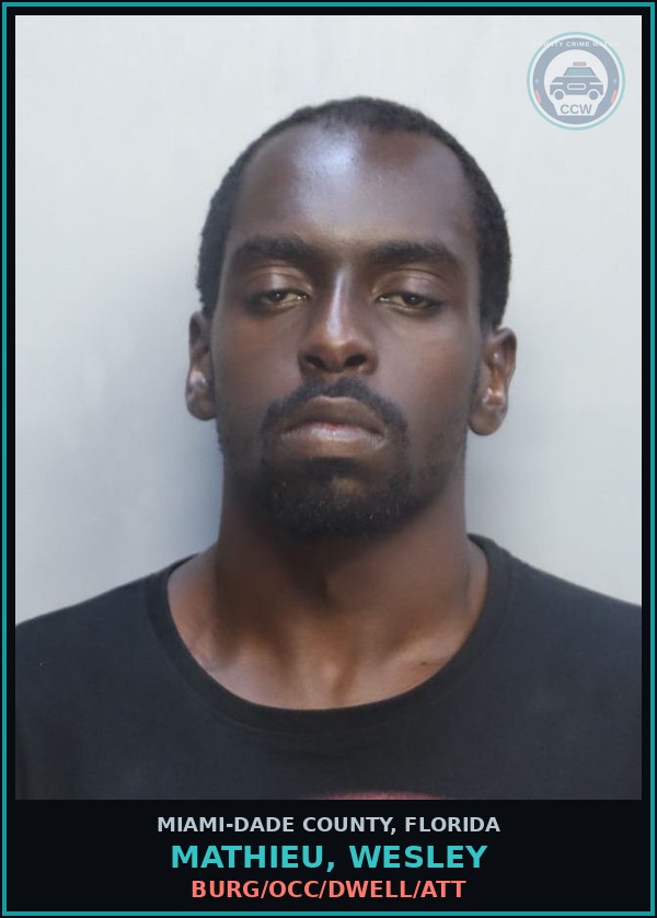 Booking mugshot of MATHIEU, WESLEY in Miami-Dade County