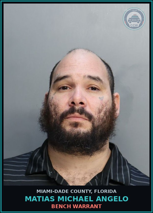 Booking mugshot of MATIAS MICHAEL  ANGELO in Miami-Dade County