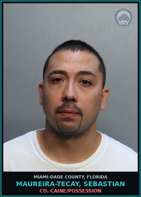 Booking mugshot of MAUREIRA-TECAY, SEBASTIAN in Miami-Dade County