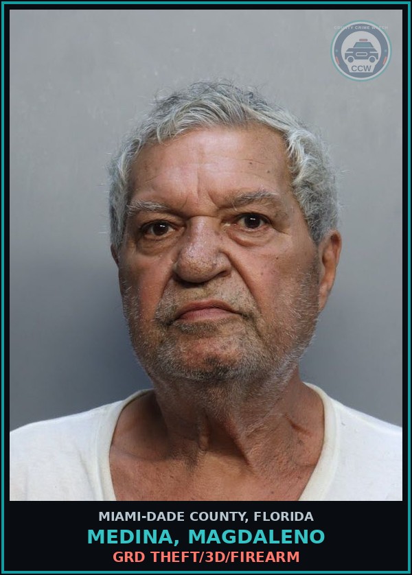 Booking mugshot of MEDINA, MAGDALENO in Miami-Dade County