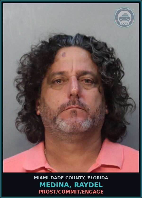 Booking mugshot of MEDINA, RAYDEL in Miami-Dade County