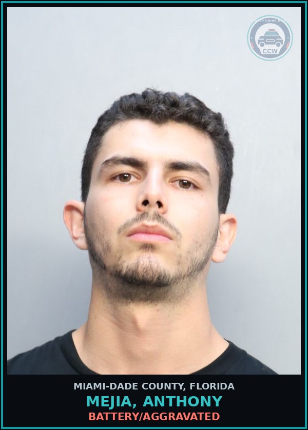 Booking mugshot of MEJIA, ANTHONY in Miami-Dade County
