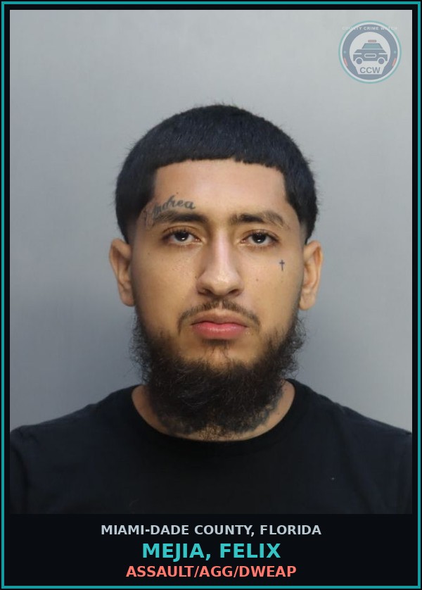 Booking mugshot of MEJIA, FELIX in Miami-Dade County
