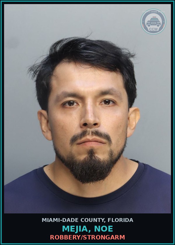 Booking mugshot of MEJIA, NOE in Miami-Dade County