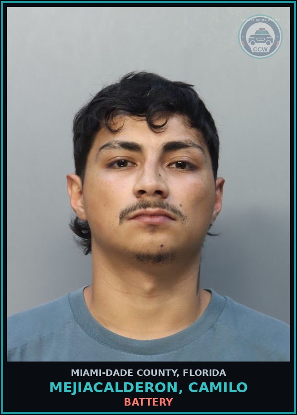 Booking mugshot of MEJIACALDERON, CAMILO in Miami-Dade County