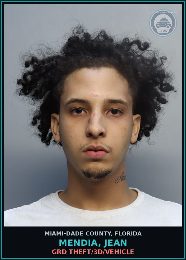 Booking mugshot of MENDIA, JEAN in Miami-Dade County