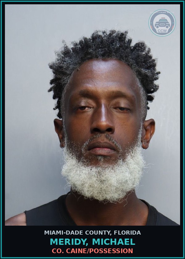 Booking mugshot of MERIDY, MICHAEL in Miami-Dade County