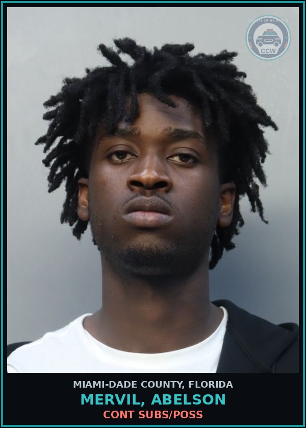 Booking mugshot of MERVIL, ABELSON in Miami-Dade County