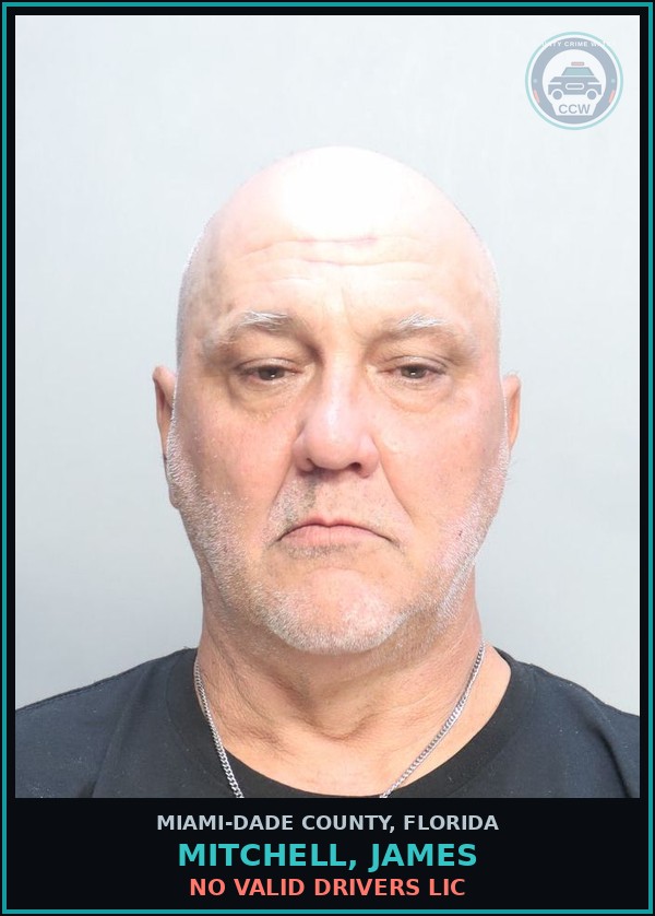 Booking mugshot of MITCHELL, JAMES in Miami-Dade County