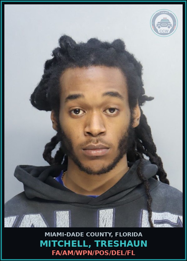 Booking mugshot of MITCHELL, TRESHAUN in Miami-Dade County