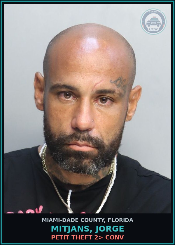 Booking mugshot of MITJANS, JORGE in Miami-Dade County