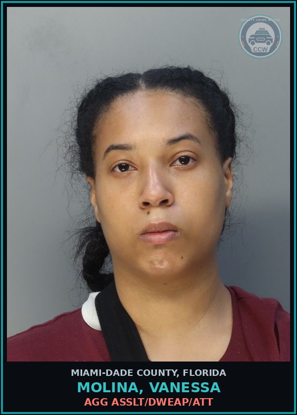 Booking mugshot of MOLINA, VANESSA in Miami-Dade County