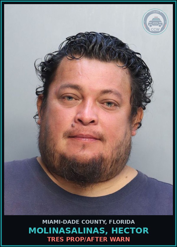 Booking mugshot of MOLINASALINAS, HECTOR in Miami-Dade County