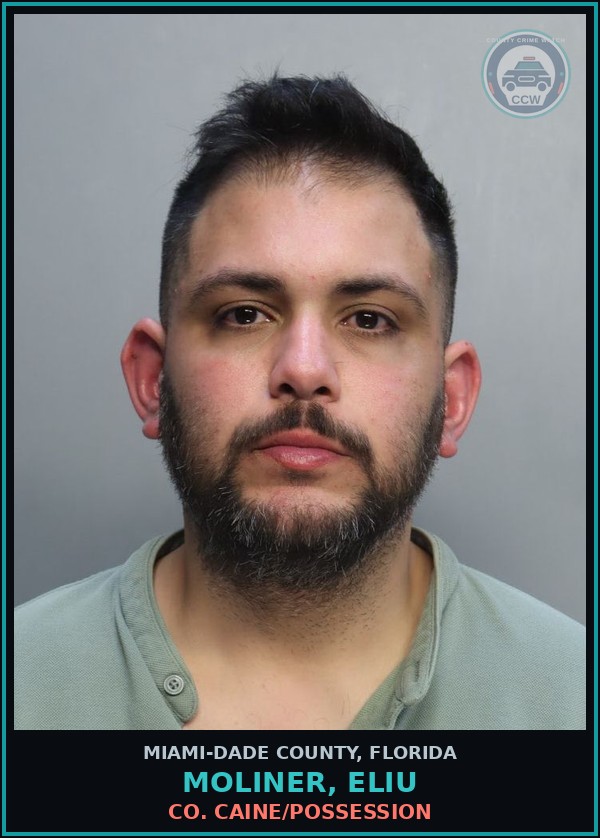 Booking mugshot of MOLINER, ELIU in Miami-Dade County