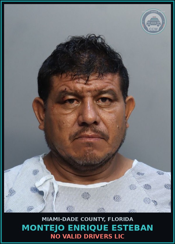 Booking mugshot of MONTEJO ENRIQUE  ESTEBAN in Miami-Dade County