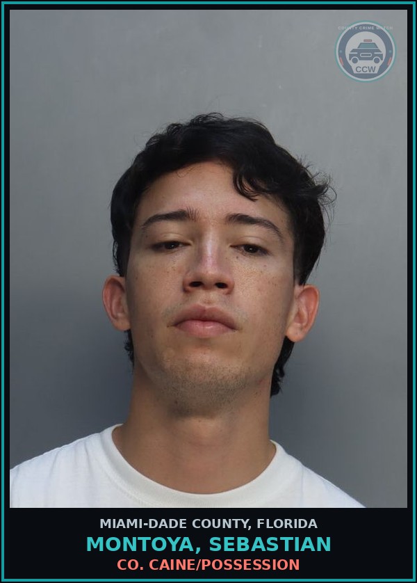 Booking mugshot of MONTOYA, SEBASTIAN in Miami-Dade County
