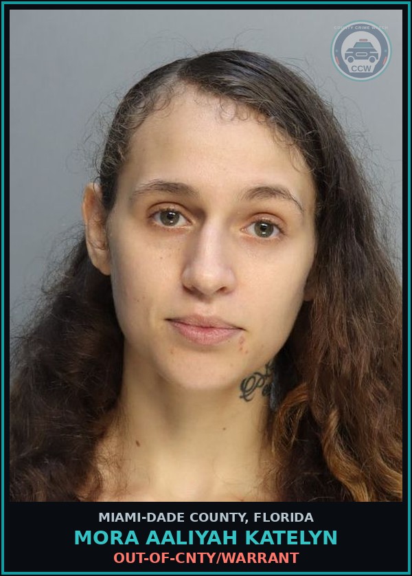 Booking mugshot of MORA AALIYAH  KATELYN in Miami-Dade County
