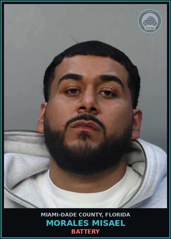 Booking mugshot of MORALES MISAEL in Miami-Dade County